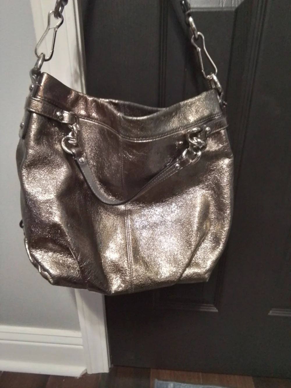 Coach Metallic Hobo Shoulder Bag